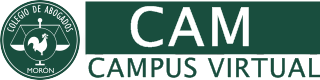 Campus Virtual CAM